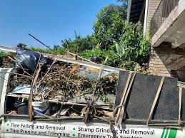 Best Dumpster Rental Services  in Stanaford, WV